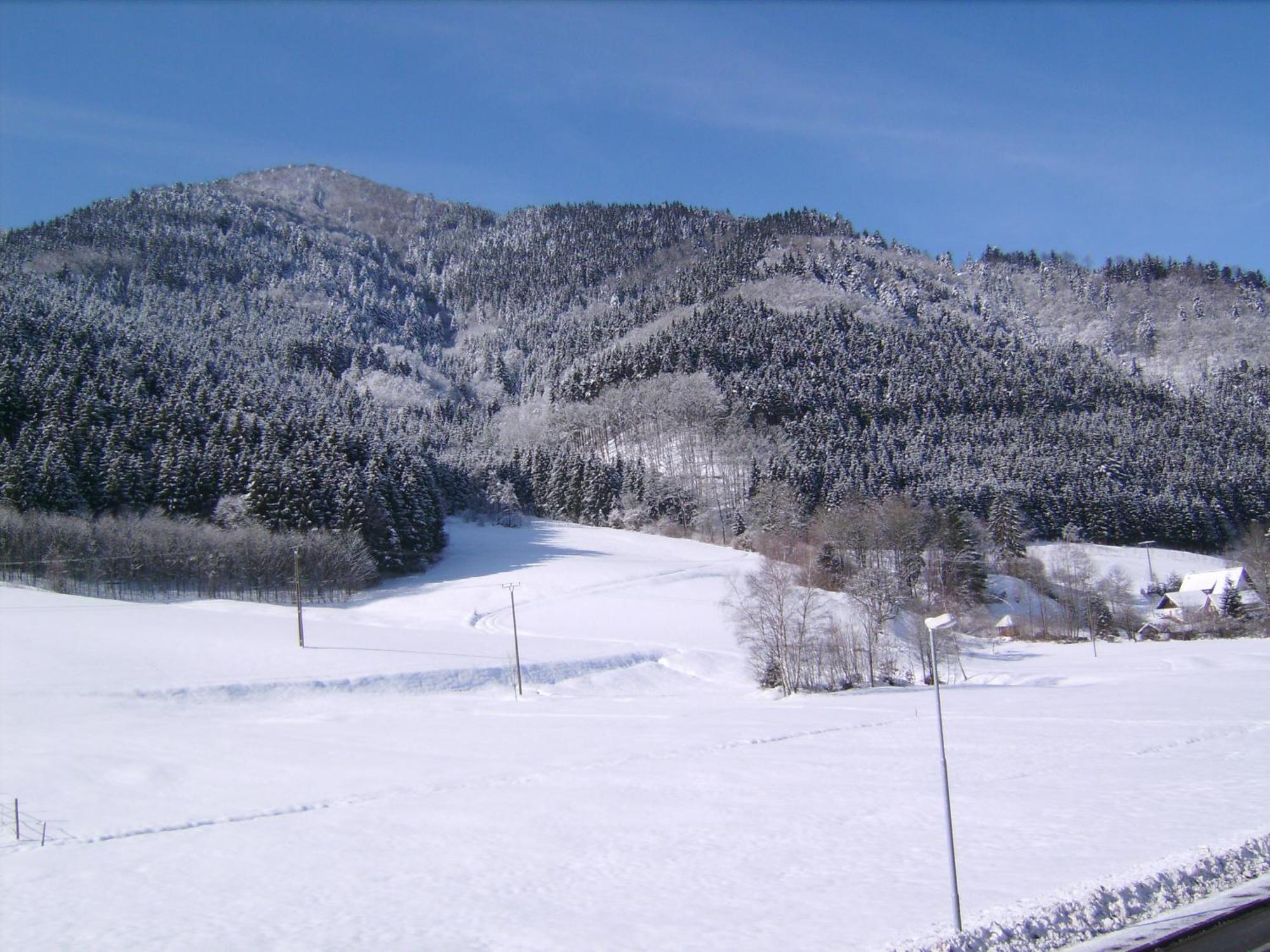 Gasthaus Zur Erle Simonswald Εξωτερικό φωτογραφία